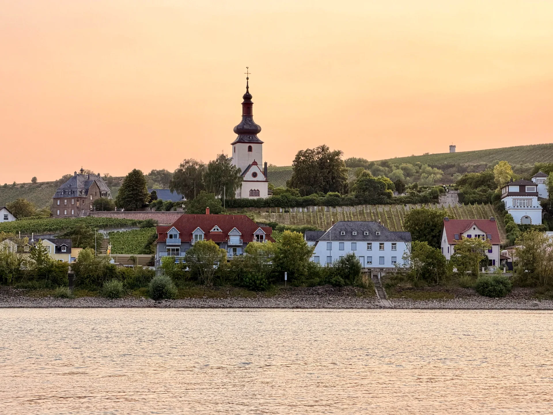 Blick vom Rhein auf Nierstein mit Kirche und Weinbergen im warmen Abendlicht.